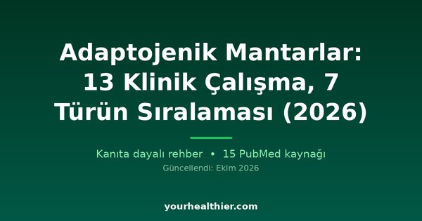 Adaptojenik Mantarlar: 13 Klinik Çalışma, 7 Türün Sıralaması (2026)