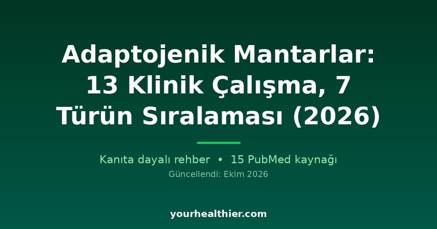 Adaptojenik Mantarlar: 13 Klinik Çalışma, 7 Türün Sıralaması (2026)