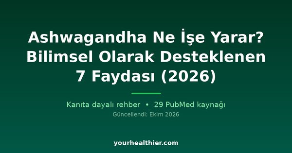 Ashwagandha Ne İşe Yarar? Bilimsel Olarak Desteklenen 7 Faydası (2026)