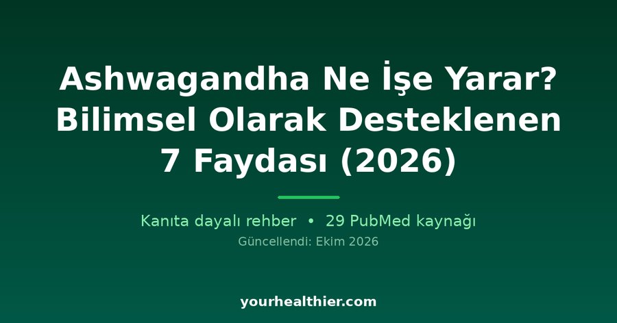 Ashwagandha Ne İşe Yarar? Bilimsel Olarak Desteklenen 7 Faydası (2026)