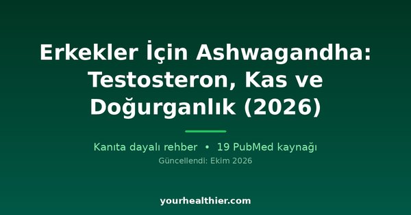 Erkekler İçin Ashwagandha: Testosteron, Kas ve Doğurganlık (2026)