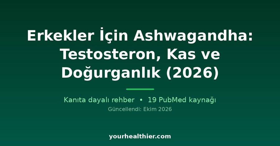 Erkekler İçin Ashwagandha: Testosteron, Kas ve Doğurganlık (2026)
