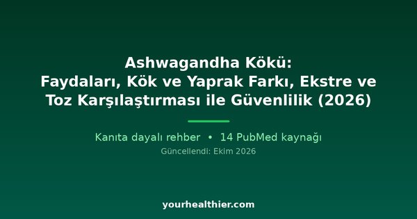 Ashwagandha Kökü: Faydaları, Kök ve Yaprak Farkı, Ekstre ve Toz Karşılaştırması ile Güvenlilik (2026)