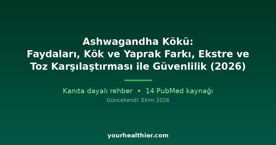 Ashwagandha Kökü: Faydaları, Kök ve Yaprak Farkı, Ekstre ve Toz Karşılaştırması ile Güvenlilik (2026)