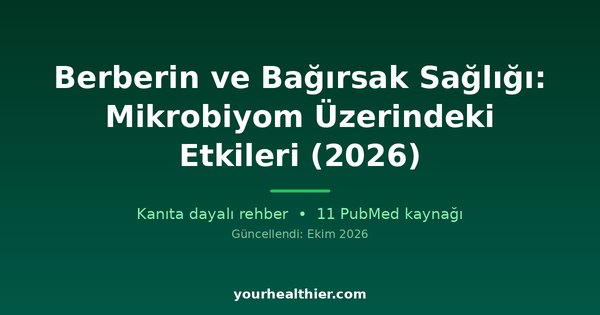 Berberin ve Bağırsak Sağlığı: Mikrobiyom Üzerindeki Etkileri (2026)