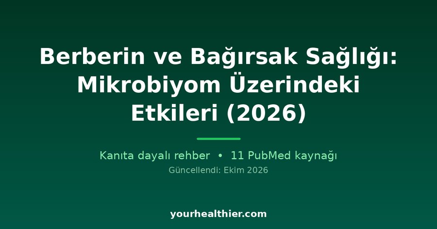 Berberin ve Bağırsak Sağlığı: Mikrobiyom Üzerindeki Etkileri (2026)