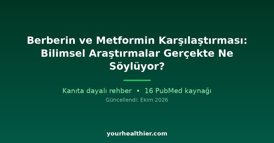 Berberin ve Metformin Karşılaştırması: Bilimsel Araştırmalar Gerçekte Ne Söylüyor?