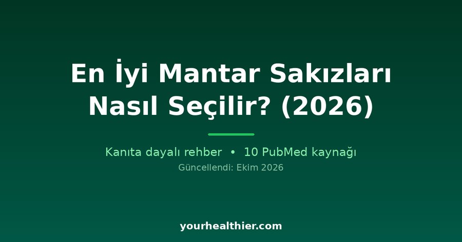 En İyi Mantar Sakızları Nasıl Seçilir? (2026)