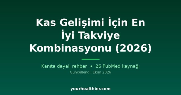 Kas Gelişimi İçin En İyi Takviye Kombinasyonu (2026)