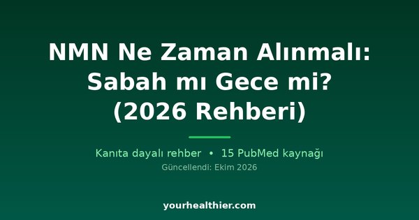 NMN Ne Zaman Alınmalı: Sabah mı Gece mi? (2026 Rehberi)