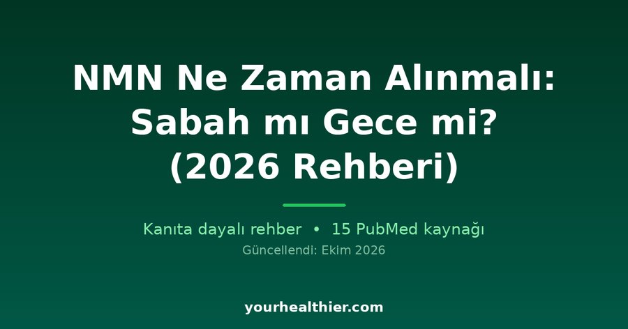 NMN Ne Zaman Alınmalı: Sabah mı Gece mi? (2026 Rehberi)