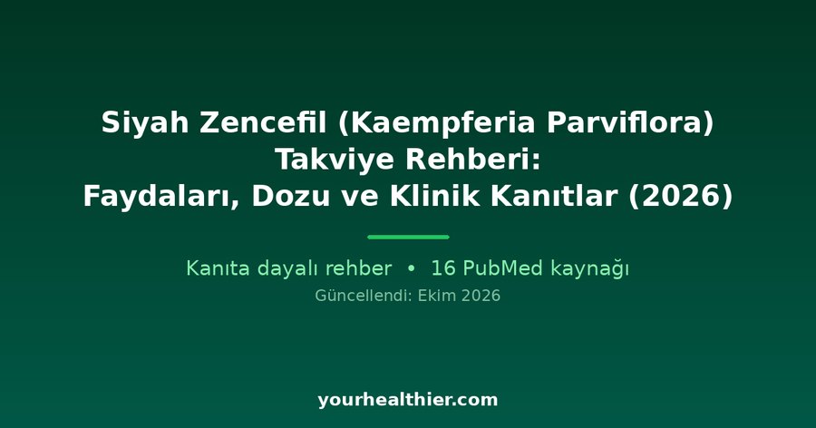 Siyah Zencefil (Kaempferia Parviflora) Takviye Rehberi: Faydaları, Dozu ve Klinik Kanıtlar (2026)