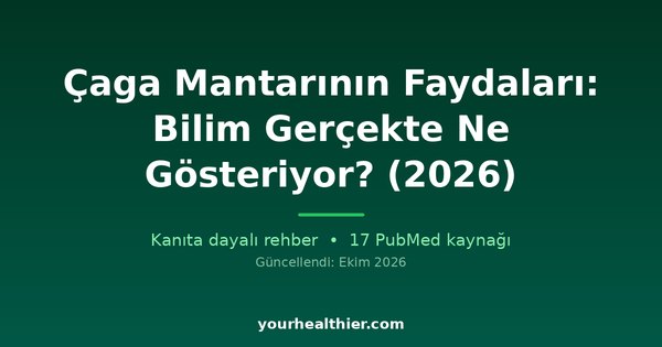 Çaga Mantarının Faydaları: Bilim Gerçekte Ne Gösteriyor? (2026)