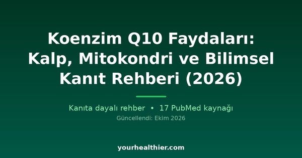 Koenzim Q10 Faydaları: Kalp, Mitokondri ve Bilimsel Kanıt Rehberi (2026)