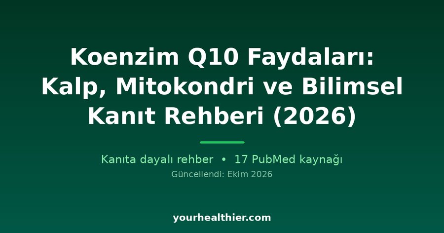 Koenzim Q10 Faydaları: Kalp, Mitokondri ve Bilimsel Kanıt Rehberi (2026)