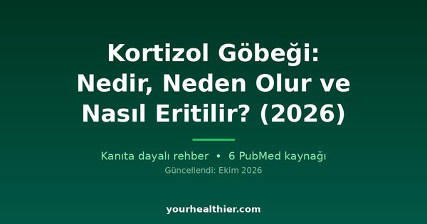 Kortizol Göbeği: Nedir, Neden Olur ve Nasıl Eritilir? (2026)