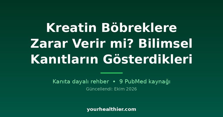 Kreatin Böbreklere Zarar Verir mi? Bilimsel Kanıtların Gösterdikleri