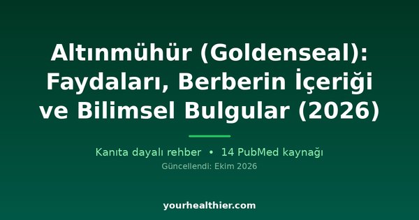 Altınmühür (Goldenseal): Faydaları, Berberin İçeriği ve Bilimsel Bulgular (2026)