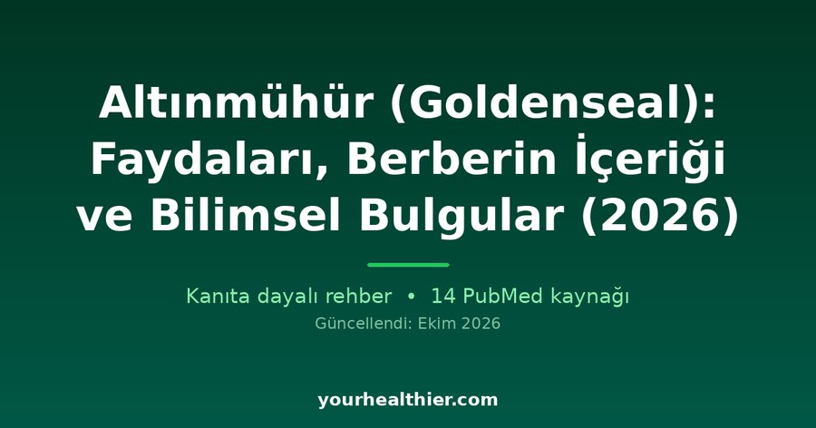 Altınmühür (Goldenseal): Faydaları, Berberin İçeriği ve Bilimsel Bulgular (2026)