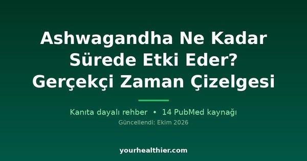 Ashwagandha Ne Kadar Sürede Etki Eder? Gerçekçi Zaman Çizelgesi