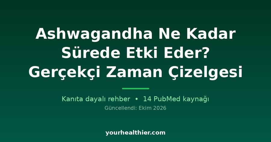 Ashwagandha Ne Kadar Sürede Etki Eder? Gerçekçi Zaman Çizelgesi