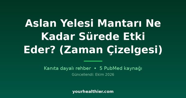 Aslan Yelesi Mantarı Ne Kadar Sürede Etki Eder? (Zaman Çizelgesi)