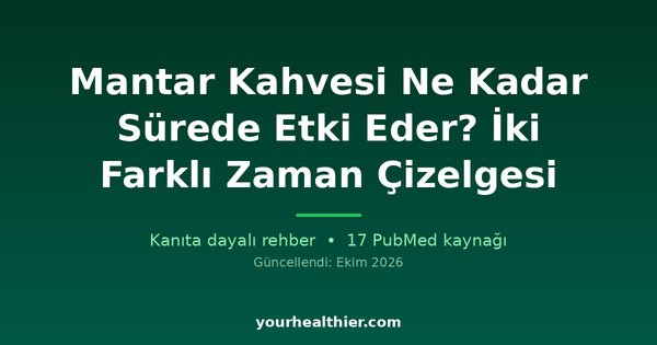 Mantar Kahvesi Ne Kadar Sürede Etki Eder? İki Farklı Zaman Çizelgesi