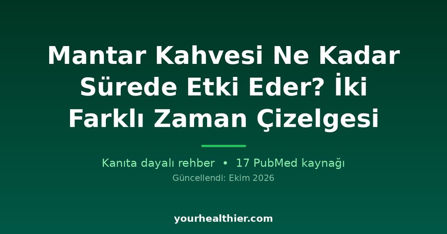 Mantar Kahvesi Ne Kadar Sürede Etki Eder? İki Farklı Zaman Çizelgesi
