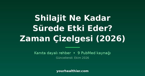 Shilajit Ne Kadar Sürede Etki Eder? Zaman Çizelgesi (2026)