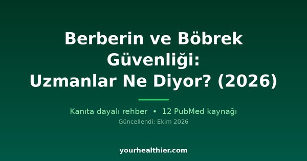 Berberin ve Böbrek Güvenliği: Uzmanlar Ne Diyor? (2026)