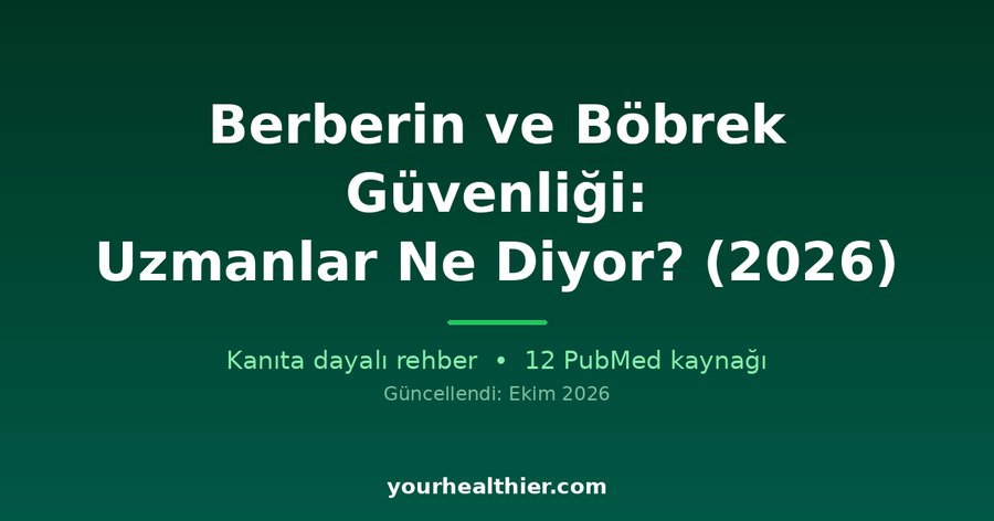 Berberin ve Böbrek Güvenliği: Uzmanlar Ne Diyor? (2026)