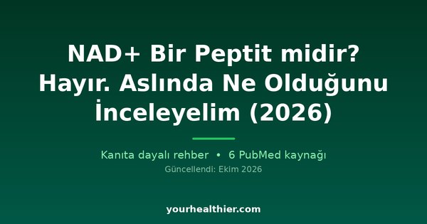 NAD+ Bir Peptit midir? Hayır. Aslında Ne Olduğunu İnceleyelim (2026)