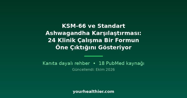 KSM-66 ve Standart Ashwagandha Karşılaştırması: 24 Klinik Çalışma Bir Formun Öne Çıktığını Gösteriyor
