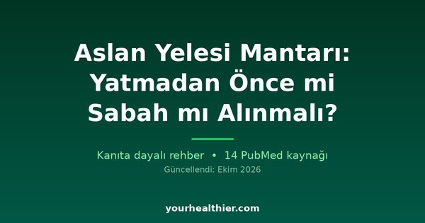 Aslan Yelesi Mantarı: Yatmadan Önce mi Sabah mı Alınmalı?