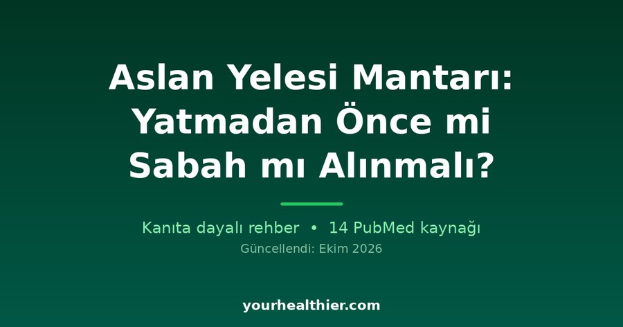 Aslan Yelesi Mantarı: Yatmadan Önce mi Sabah mı Alınmalı?