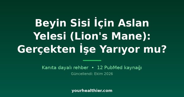 Beyin Sisi İçin Aslan Yelesi (Lion’s Mane): Gerçekten İşe Yarıyor mu?