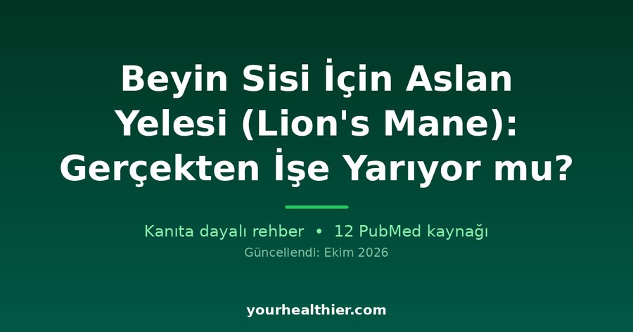 Beyin Sisi İçin Aslan Yelesi (Lion’s Mane): Gerçekten İşe Yarıyor mu?