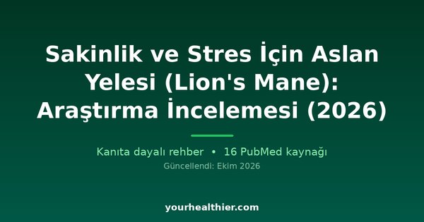 Sakinlik ve Stres İçin Aslan Yelesi (Lion’s Mane): Araştırma İncelemesi (2026)