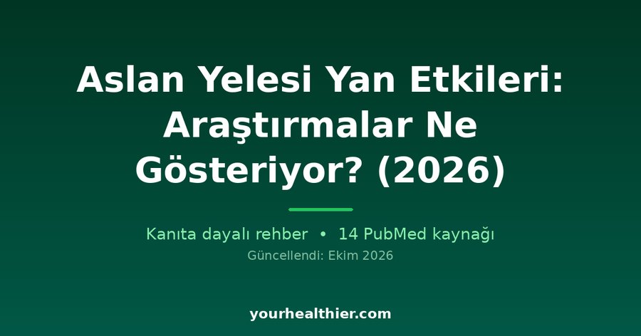 Aslan Yelesi Yan Etkileri: Araştırmalar Ne Gösteriyor? (2026)