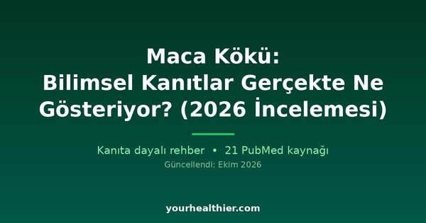 Maca Kökü: Bilimsel Kanıtlar Gerçekte Ne Gösteriyor? (2026 İncelemesi)