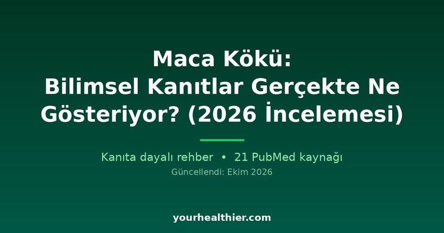 Maca Kökü: Bilimsel Kanıtlar Gerçekte Ne Gösteriyor? (2026 İncelemesi)