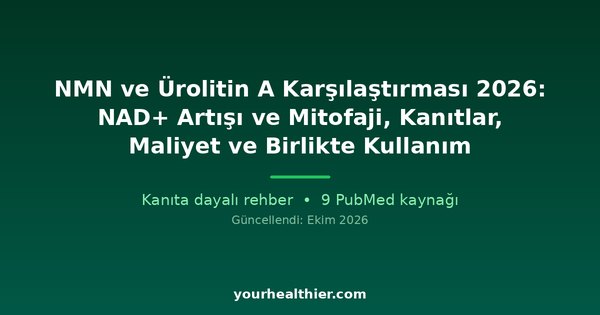 NMN ve Ürolitin A Karşılaştırması 2026: NAD+ Artışı ve Mitofaji, Kanıtlar, Maliyet ve Birlikte Kullanım