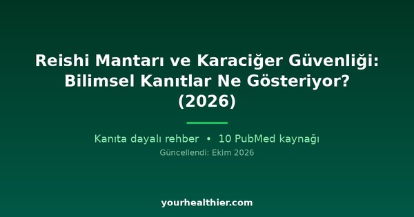 Reishi Mantarı ve Karaciğer Güvenliği: Bilimsel Kanıtlar Ne Gösteriyor? (2026)