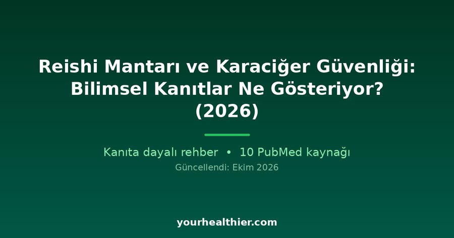 Reishi Mantarı ve Karaciğer Güvenliği: Bilimsel Kanıtlar Ne Gösteriyor? (2026)