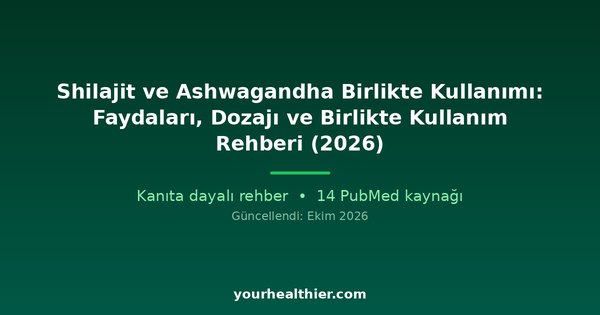 Shilajit ve Ashwagandha Birlikte Kullanımı: Faydaları, Dozajı ve Birlikte Kullanım Rehberi (2026)
