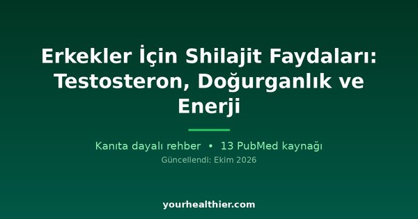 Erkekler İçin Shilajit Faydaları: Testosteron, Doğurganlık ve Enerji