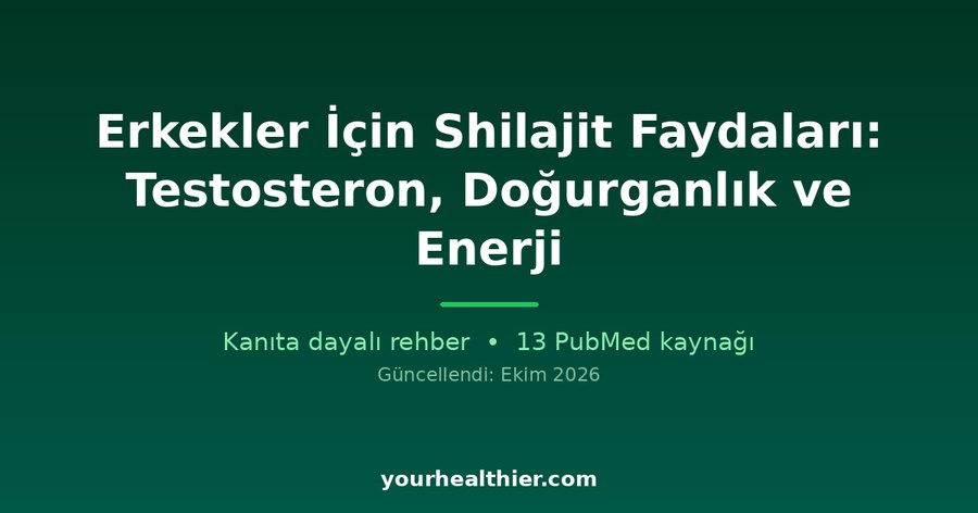 Erkekler İçin Shilajit Faydaları: Testosteron, Doğurganlık ve Enerji