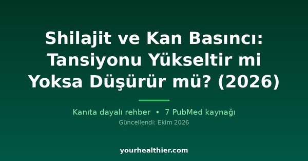 Shilajit ve Kan Basıncı: Tansiyonu Yükseltir mi Yoksa Düşürür mü? (2026)