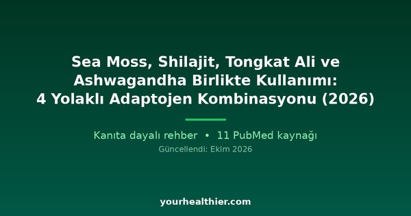 Sea Moss, Shilajit, Tongkat Ali ve Ashwagandha Birlikte Kullanımı: 4 Yolaklı Adaptojen Kombinasyonu (2026)