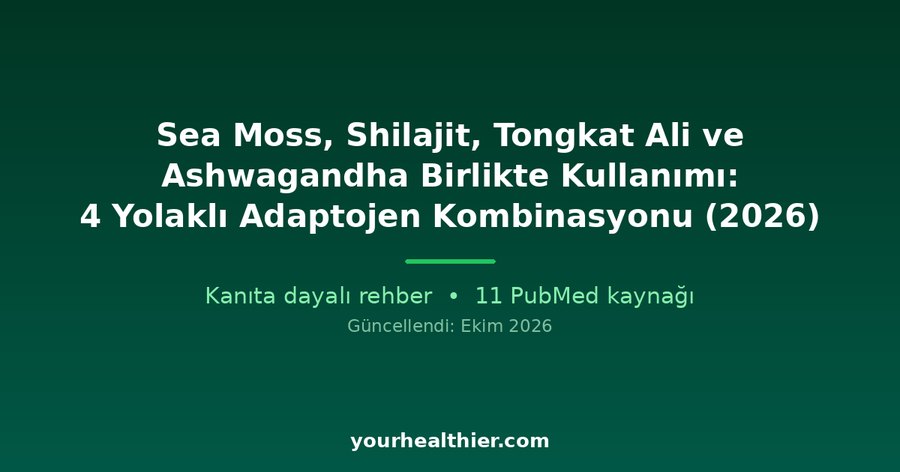Sea Moss, Shilajit, Tongkat Ali ve Ashwagandha Birlikte Kullanımı: 4 Yolaklı Adaptojen Kombinasyonu (2026)